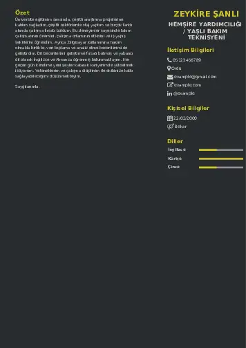 Hasta ve Yaşlı Bakım Elemanı Cv Örnekleri cv indir